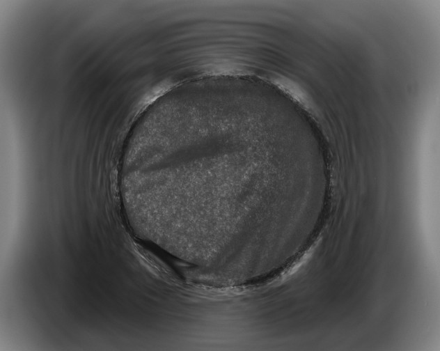 X0000086270881200704191922