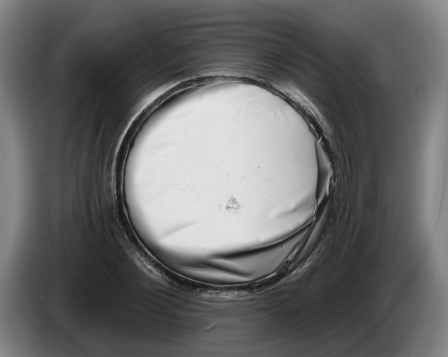 X0000086270884200704191922