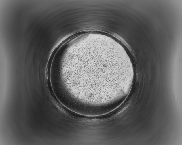 X0000086270885200704191922