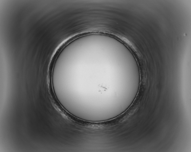 X0000086270888200704191922