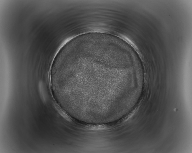 X0000086270891200704191922