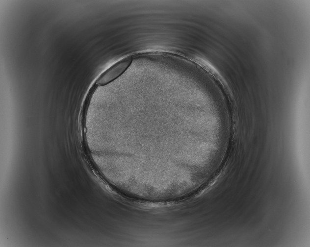 X0000086270892200704191922