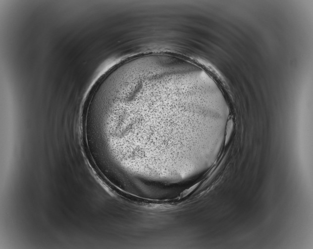 X0000086270894200704191922