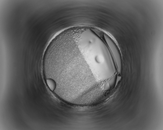 X0000086270895200704191922