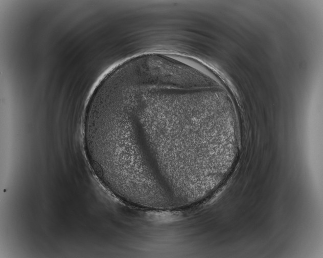 X0000086270896200704191922