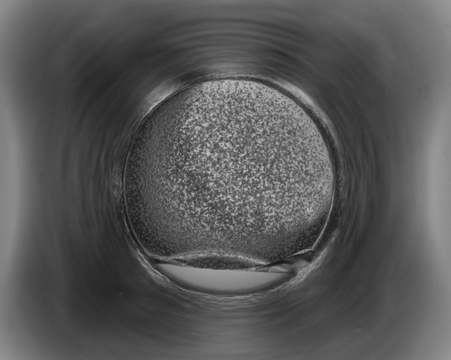 X0000086270897200704191922