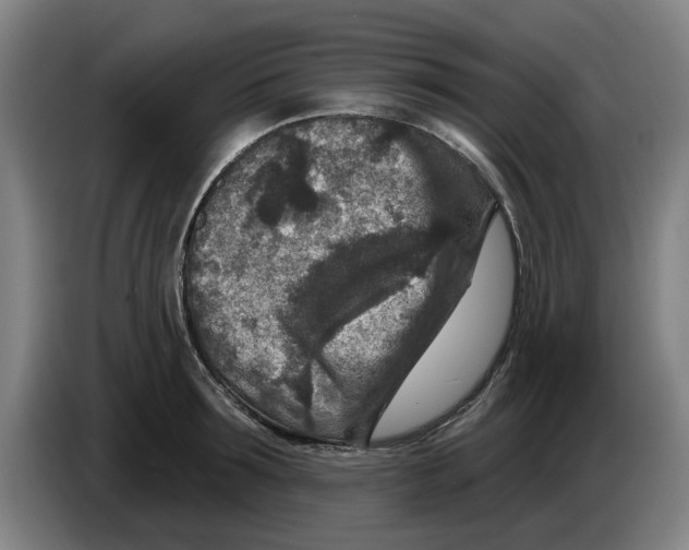 X0000086270899200704191922