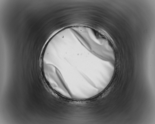 X0000086270900200704191922