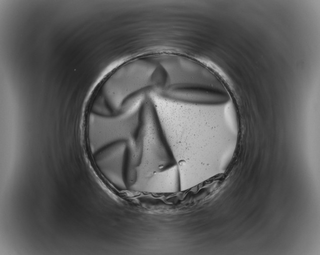 X0000086270902200704191922