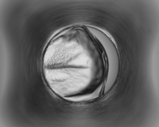 X0000086270903200704191922