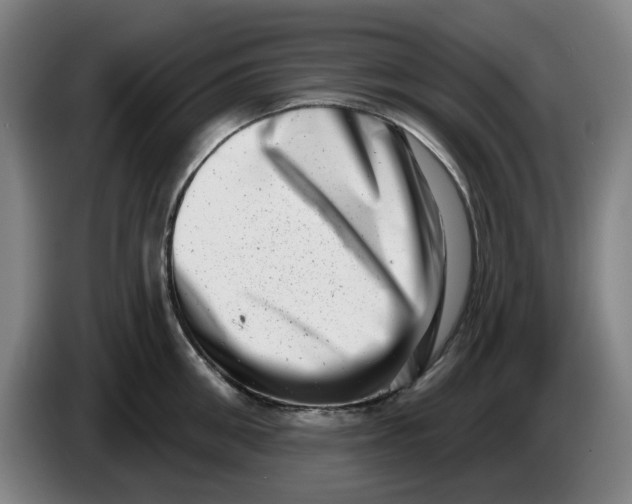 X0000086270906200704191922