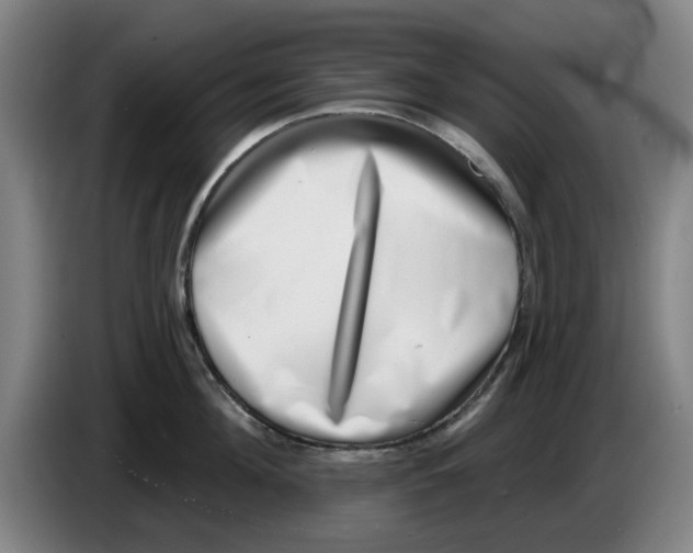 X0000086270908200704191922