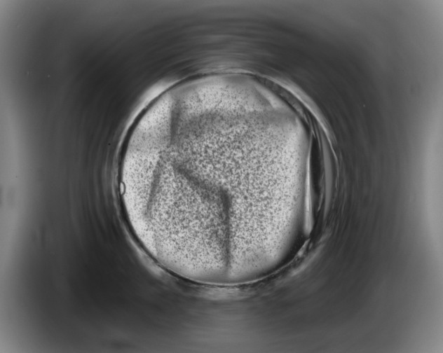 X0000086270909200704191922