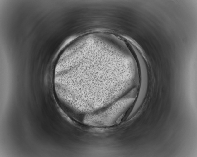 X0000086270910200704191922