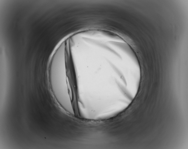 X0000086270912200704191922