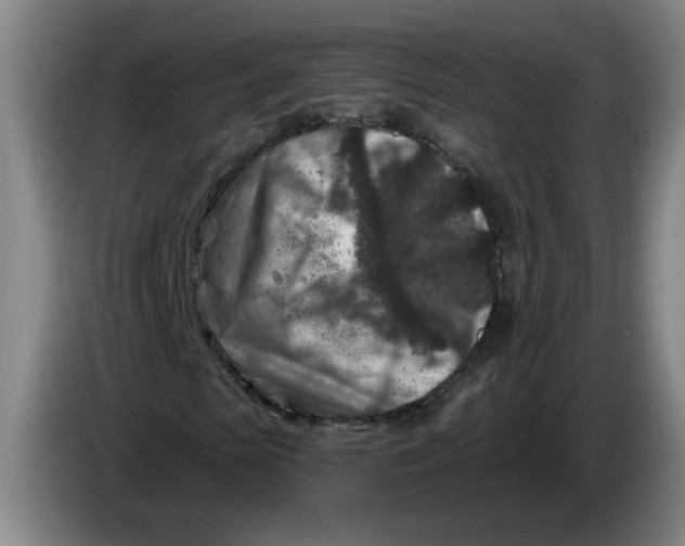 X0000086270913200704191921