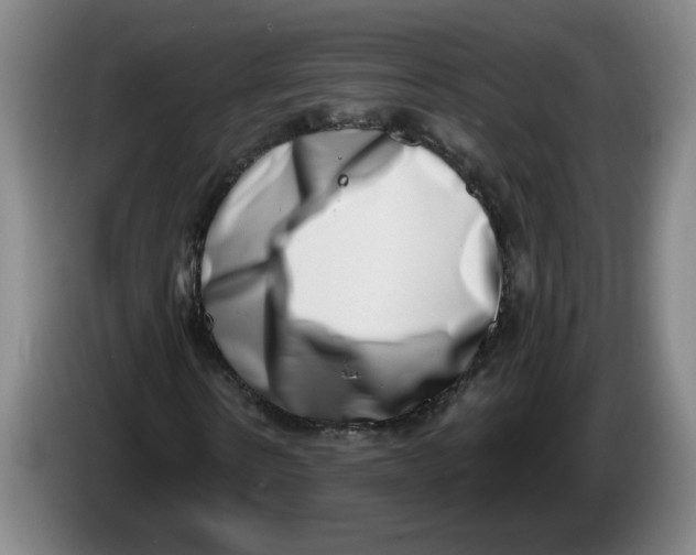 X0000086270914200704191921