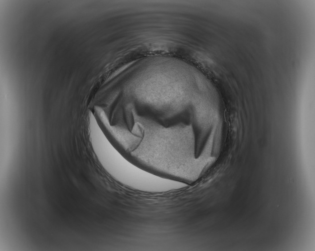 X0000086270916200704191921