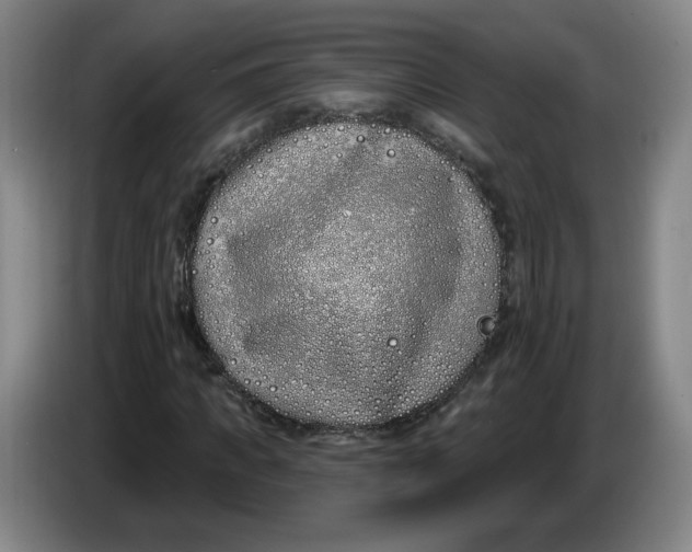 X0000086270917200704191921