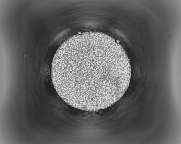 X0000086270918200704191921