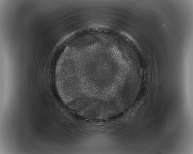 X0000086270919200704191921