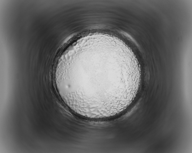 X0000086270921200704191921