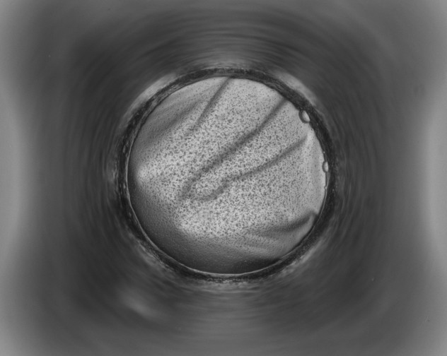 X0000086270922200704191921