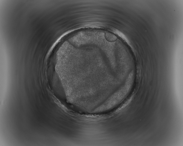 X0000086270923200704191921