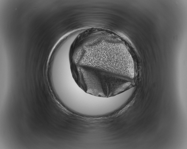 X0000086270924200704191921