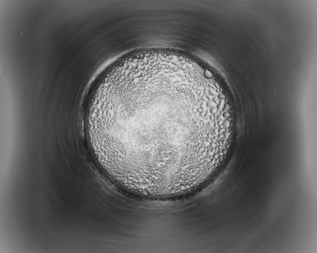 X0000086270925200704191921