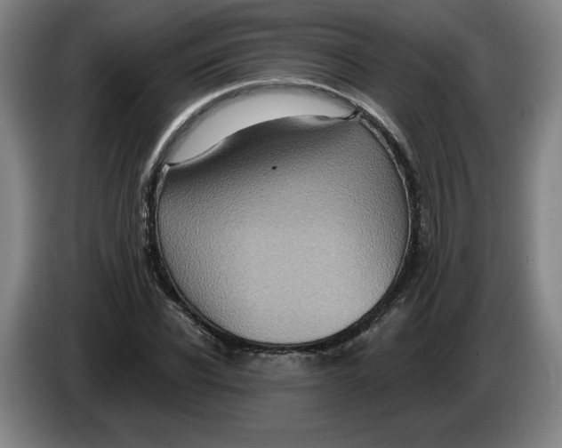 X0000086270926200704191921