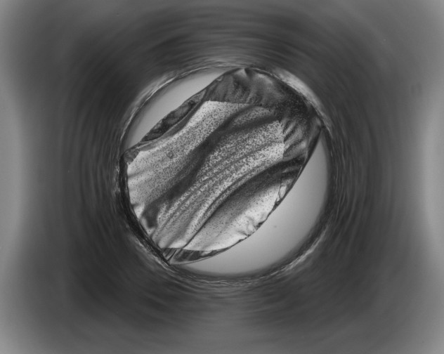 X0000086270930200704191922