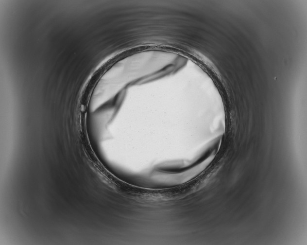 X0000086270931200704191922