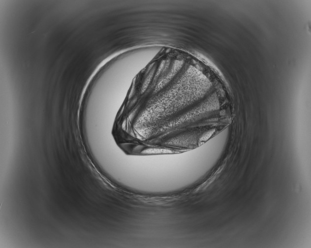 X0000086270932200704191922