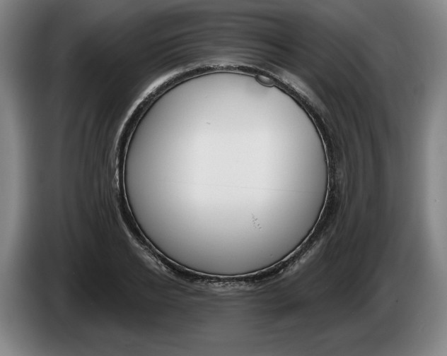 X0000086270934200704191922