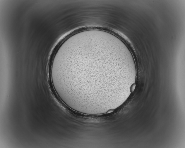 X0000086270935200704191922