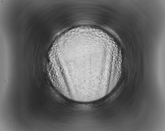 X0000086270937200704191922