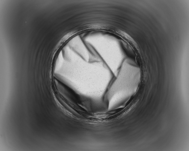 X0000086270938200704191922