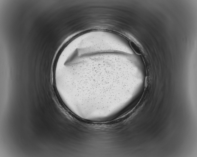 X0000086270940200704191922