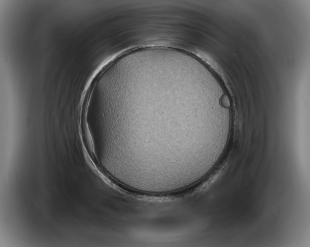 X0000086270941200704191922