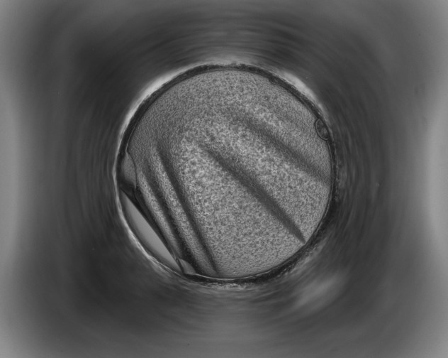 X0000086270943200704191922