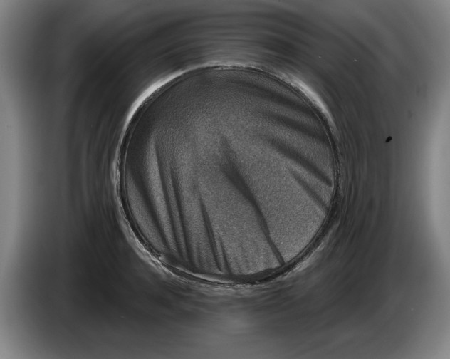 X0000086270944200704191922