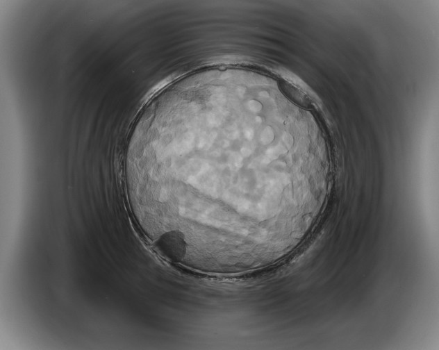 X0000086270945200704191922