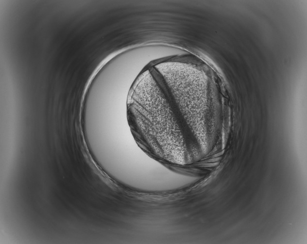 X0000086270948200704191922