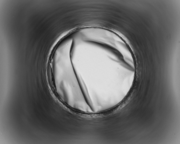 X0000086270949200704191922