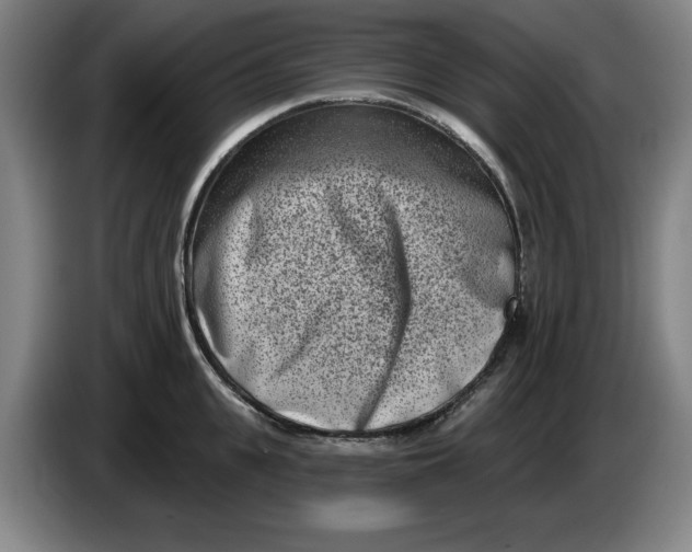 X0000086270951200704191922