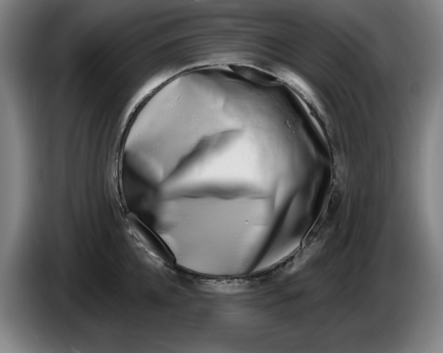 X0000086270952200704191922