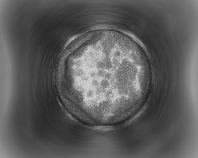 X0000086270953200704191922