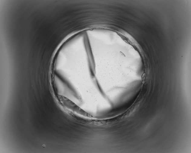 X0000086270955200704191922