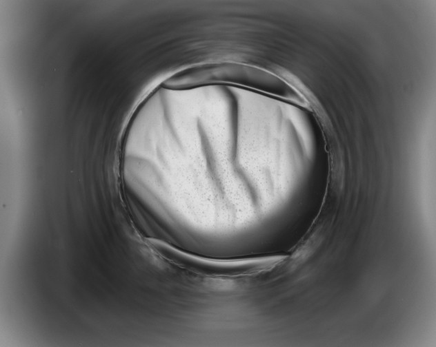 X0000086270956200704191922